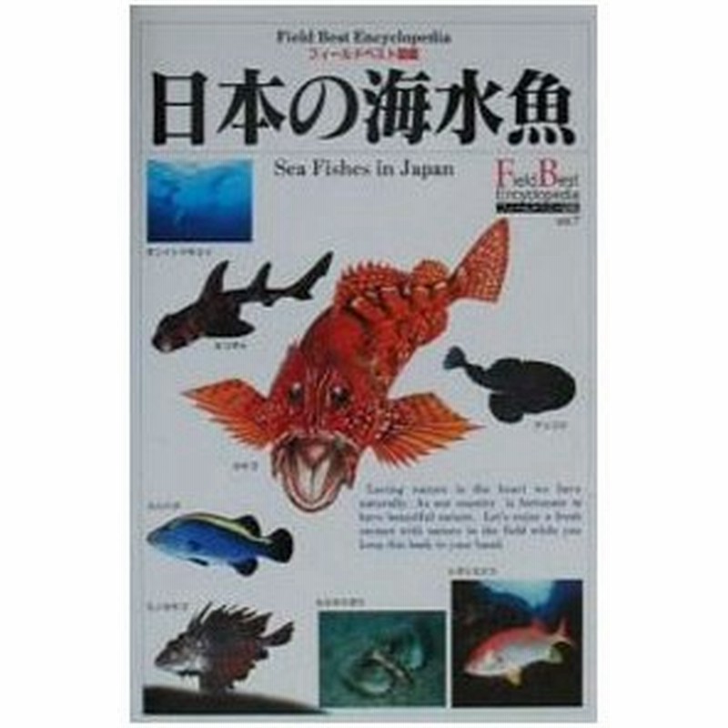 日本の海水魚 木村義志 通販 Lineポイント最大0 5 Get Lineショッピング