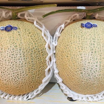 【帕查嬤嬤】🇯🇵日本 靜岡 伊佐見 綠肉 網紋 哈密瓜 2玉原裝箱🍈｜日本靜岡哈蜜瓜禮盒