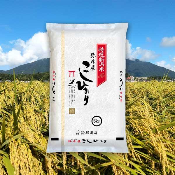 [新米 令和5年産] 弥彦産コシヒカリ 25kg (5kg×5袋) 厳選産地米 新潟米 お米 白米 こしひかり 送料無料 ギフト対応