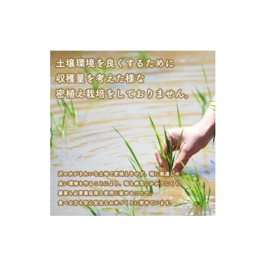 ふるさと納税 秋田県 潟上市 令和５年産秋田県産あきたこまち 家計お助け米20kg