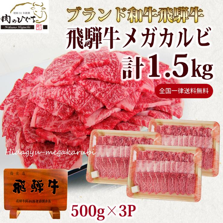 肉 福袋 牛肉 焼肉セット 飛騨牛 メガ盛 カルビ 1.5kg 約6人〜7人 焼肉 焼き肉 黒毛和牛 バーベキュー バーベキューセット