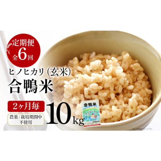 ふるさと納税 福岡県 大木町 令和5年産 予約 合鴨米「ヒノヒカリ」（玄米・10kg）定期便6回コース 数量限定 ※令和5年10月中旬スタートの定期便 BI05