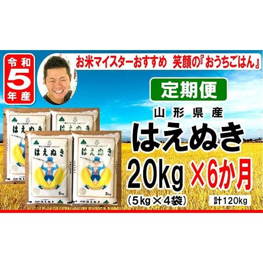 ふるさと納税 山形県 米沢市  はえぬき 計20kg／月 1回配送 5kg×4袋 2023年産 [006R5-034]