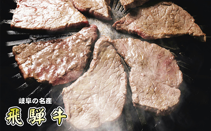 牛肉 飛騨牛 焼き肉 セット 赤身 モモ 又は カタ 500ｇ 黒毛和牛 Ａ5 美味しい お肉 牛 肉 和牛 焼肉 BBQ バーベキュー 