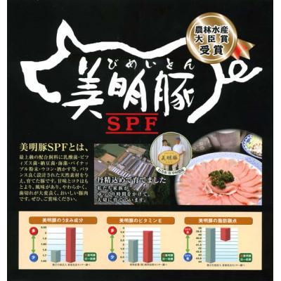 ふるさと納税 行方市 豚肉みそ漬(150g×10枚)