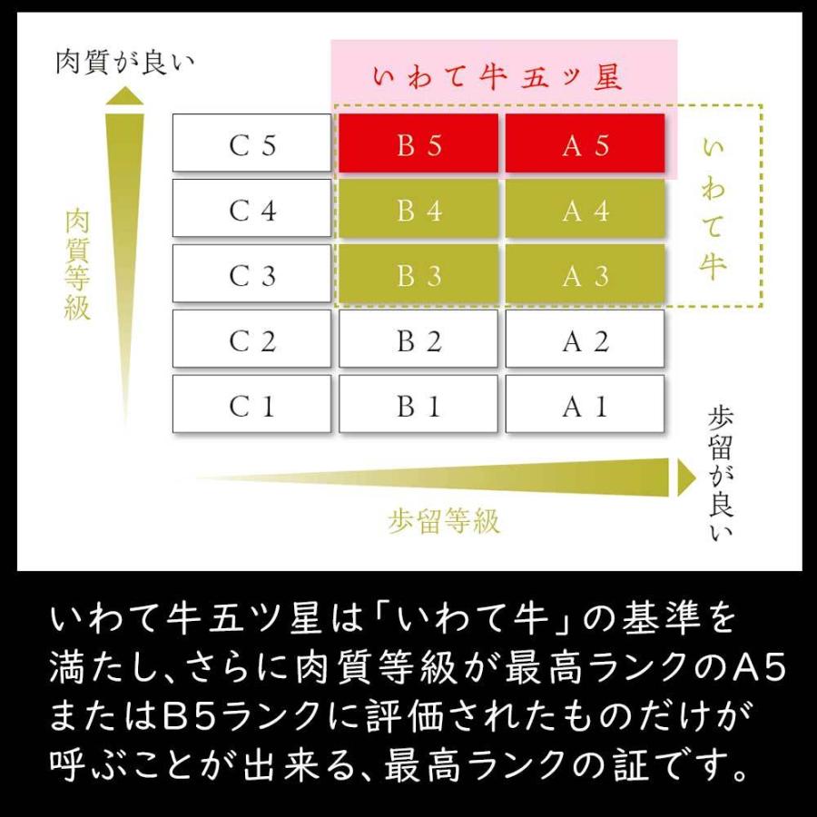 5等級ランク（A5・B5） いわて牛五つ星 サーロインステーキ 約250g×2枚 │ お取り寄せグルメ 東北 ギフト 国産 お歳暮 御歳暮