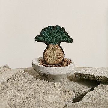 巨鳳之卵刺繡別針 Boophane haemanthoides