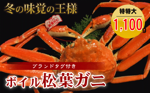 タグ付きボイル松葉ガニ（特特大１，１００ｇ以上）冷蔵 カニ ボイル 松葉ガニ タグ付き 新鮮 カニ爪