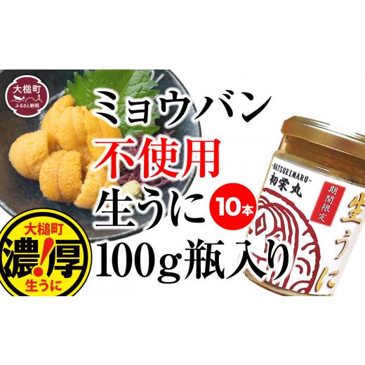 ふるさと納税 岩手県 大槌町 三陸産生うに 瓶詰100g×10本［35］