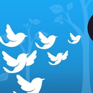 How to get more followers by creating a tweet
