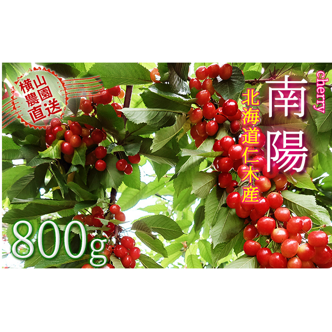 先行予約 横山農園 さくらんぼ800g（200g×4）