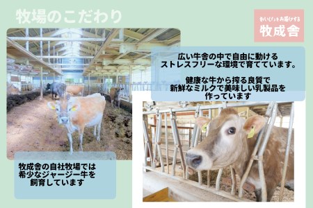 6回定期便 牧成舎 ミルクと砂糖、乳酸菌だけの飲むヨーグルト3本 のむヨーグルト 乳製品 定期便 お楽しみ 6ヵ月 [Q1263]