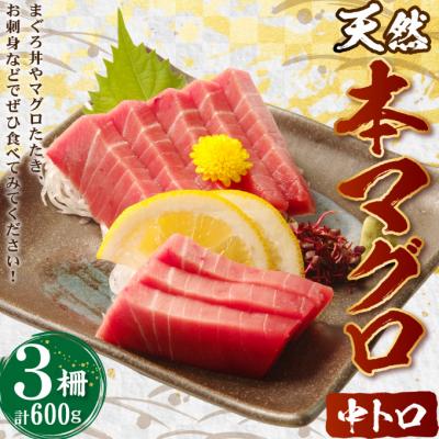 ふるさと納税 室戸市 本マグロ　中トロ　3柵(600g)