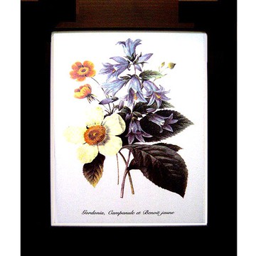 開運陶源 【奼紫嫣紅2】柔美系列 花  世界名畫 掛畫  38x32cm招桃花