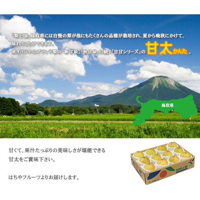 梨 甘太 かんた 青秀 7玉〜16玉 5kg 鳥取県産 ナシ なし