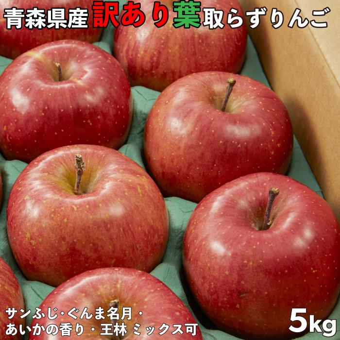 訳ありりんご 5kg 20玉前後 訳あり 青森県産 送料無料 葉取らずりんご 蜜入り サンふじ リンゴ 林檎 お得用 果物 フルーツ ５kg