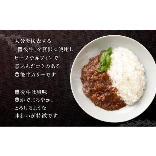 ふるさと納税 大分県 豊後大野市 013-306 おおいた 豊後牛 カリー 2食 セット 計400g カレー レトルト