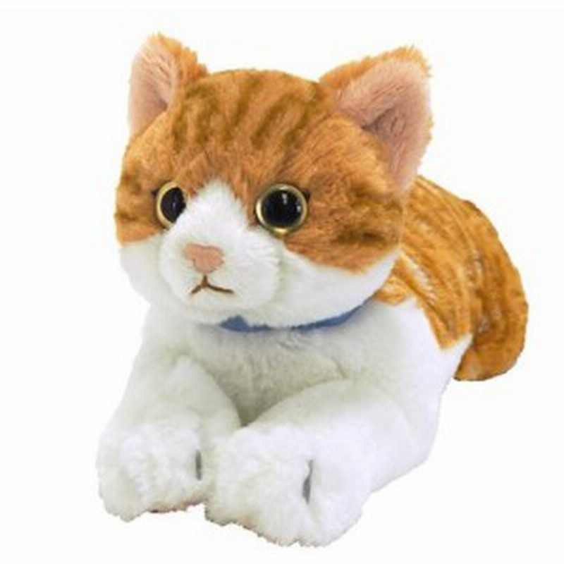 ひざねこ チャシロ Sサイズ P 72 1 ねこ ネコ 猫 ぬいぐるみ 人形 玩具 おもちゃ キャラクターグッズ プレゼントに最適 通販 Lineポイント最大1 0 Get Lineショッピング