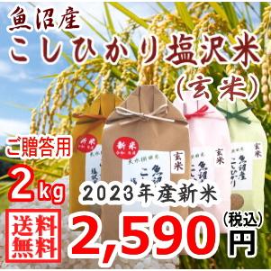 送料無料 （令和5年新米） 南魚沼産 コシヒカリ 塩沢米 玄米 ２ｋｇ ギフト用 産地直送 こしひかり