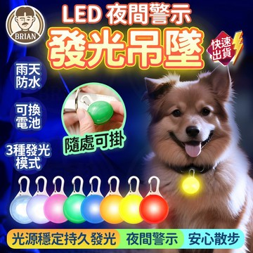 LED發光吊墜【布萊恩👨🏻隔日到貨】發光狗吊墜 發光項圈 夜光項圈 發光狗牌 發光球 寵物吊飾 狗狗閃光吊牌 寵物項圈