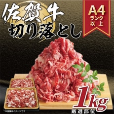 艶さし!佐賀牛切り落とし　1kg(500g×2p)(伊万里市)全12回