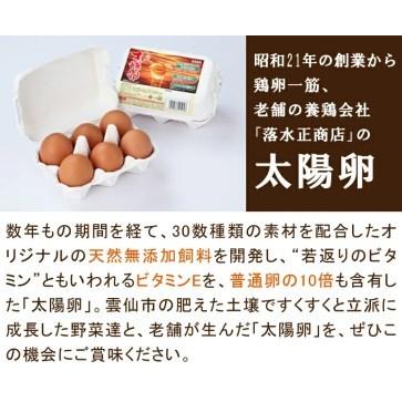 ふるさと納税 旬の野菜・フルーツセット定期便 13品目から15品目の豪華セット 長崎県雲仙市