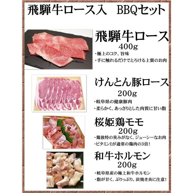 飛騨牛ロース入焼肉セット １kg バーベキュー 牛肉 豚肉 鶏肉 牛ホルモン