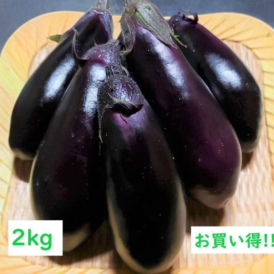 野菜 茄子 南国高知でつくった高知なす 2kg 産地直送