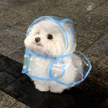 【48時熱賣】比熊狗狗連帽雨衣防水小型犬斗篷式雨披泰迪柯基柴犬寵物可愛衣服