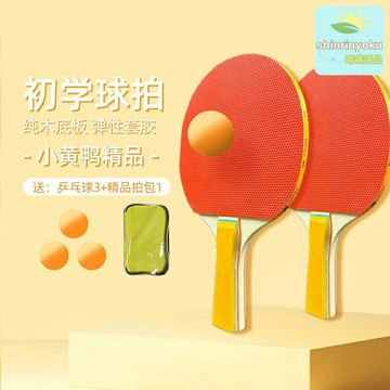 【專業入門套裝】乒乓球拍 成品拍 反膠球拍 直拍 橫拍 雙拍套裝 含3球 便攜拍套 訓練比賽通用