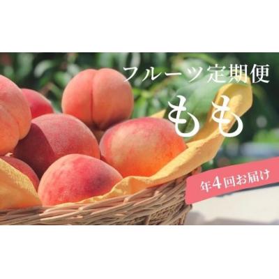 ふるさと納税 福島市 もも4種定期便 各約3kg No.1625