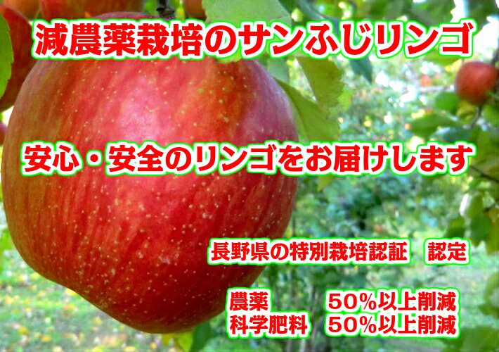 りんご サンふじ 訳あり 10Kg 送料無料 長野 減農薬 有機肥料栽培 葉取らず栽培 りんご 産地直送 甘い おいしい