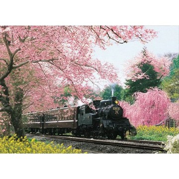 HC - 拜訪春天 - 台灣製優質夜光拼圖1000片 - 風景系列 - 1000-111D
