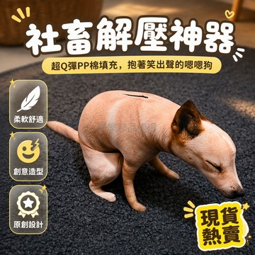 桃園出貨 抽象搞怪仿真嗯嗯狗抱枕 15cm 挂件款 40/60/80cm 多尺寸居家擺件獵奇寵物公仔