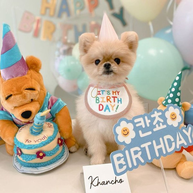 犬用スタイ 誕生日 犬 猫 ハッピーバースデー S M わんこ お祝い 写真 撮影 コスプレ 洋服 可愛い ペットグッズ 小型犬 スタイ 首掛け 犬用品 通販 Lineポイント最大0 5 Get Lineショッピング