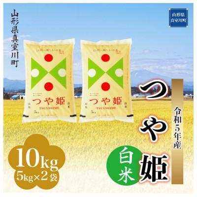 ふるさと納税 真室川町 令和5年産 特別栽培米 つや姫  10kg(5kg×2袋) 山形県 真室川町