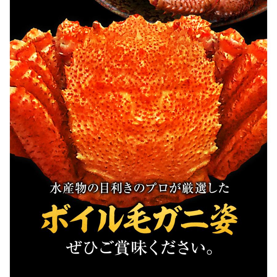 ボイル 毛ガニ 姿 特大 800g〜900g かに カニ 蟹 毛がに 毛蟹 ボイル 訳あり お歳暮 BBQ