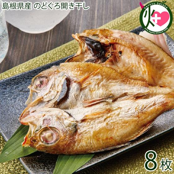 島根県産 のどぐろ開き干し 8枚入り×1箱 アジアマリン