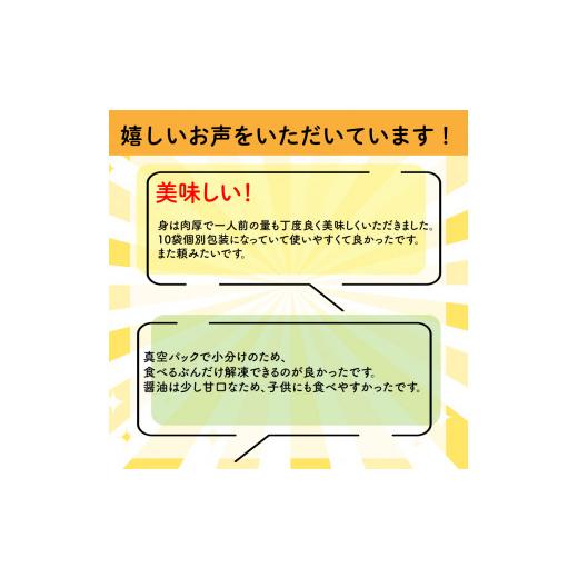 ふるさと納税 愛媛県 松山市 （天然真鯛 漬け丼セット 50g × 10パック 鯛めし 宇和島 風 冷凍 鯛 小分け 漬け丼 鯛 国産 鯛 使用 漬け丼 海鮮丼 …