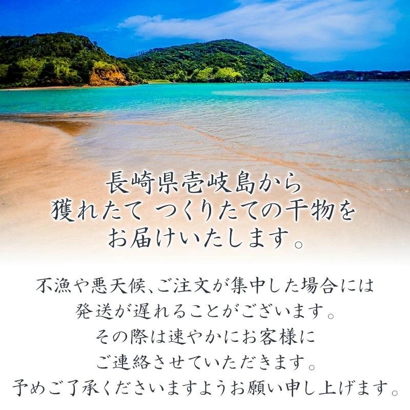 B 壱岐 干物 アジ尽くし セット（アジ開き・丸干し・みりん干し　各1袋 3-4枚入）　送料込（北海道・沖縄は別途送料）