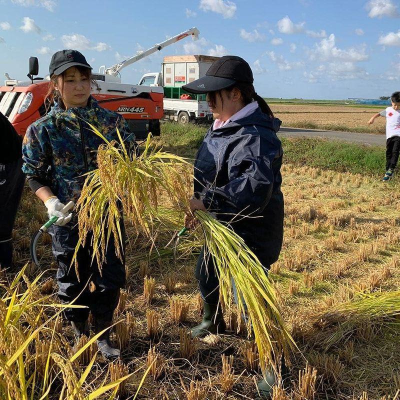 水菜土農園無洗米令和4年産 秋田県産 あきたこまち 20kg (5kg×4袋) 古代米お試し袋付き