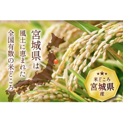 ふるさと納税 気仙沼市 3回 定期便 米 宮城県産 ひとめぼれ 10kg(5kg×2袋) 計30kg [20562113]