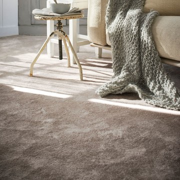 比利時蝴蝶亮澤舒柔地毯 49駝灰 140x200cm