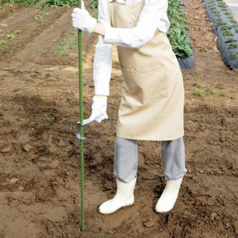 気質アップパワフル支柱 ５号 ５４cm 家庭菜園 ガーデニング 渡辺泰 園芸用品 その他