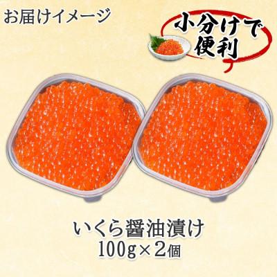 ふるさと納税 倶知安町 2024年先行受付 北海道産 いくら醤油漬け 100g×2パック