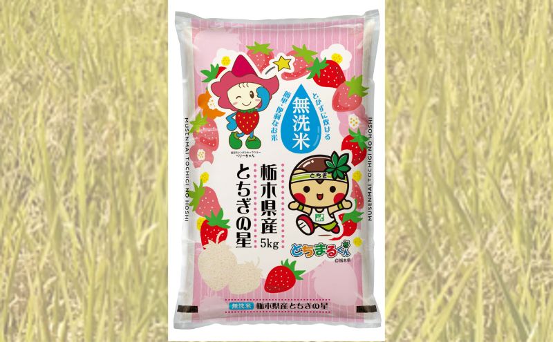 栃木県鹿沼市産 とちぎの星 無洗米 15kg（5kg×3袋） 令和5年産 水稲うるち精米 単一原料米 お米  特A 大粒