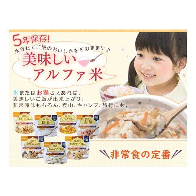 非常食 アルファ米 山菜おこわ 尾西食品 100g 長期保存食 災害 防災 備蓄 特定原材料等不使用 ご飯 単品