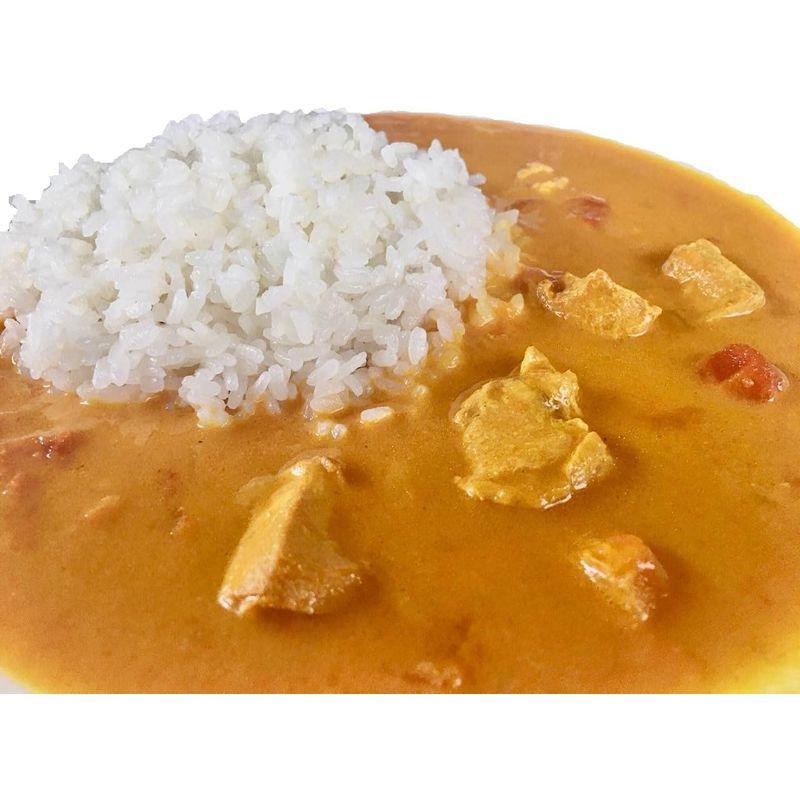 チキンカレー フランス原産鶏 プレノワール レトルトカレー 200g 10食セット