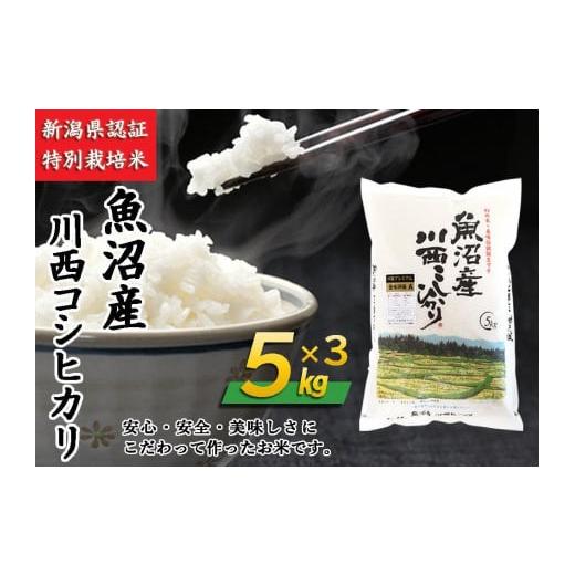 ふるさと納税 新潟県 十日町市 魚沼産川西こしひかり5kg×3　新潟県認証特別栽培米　令和５年度米