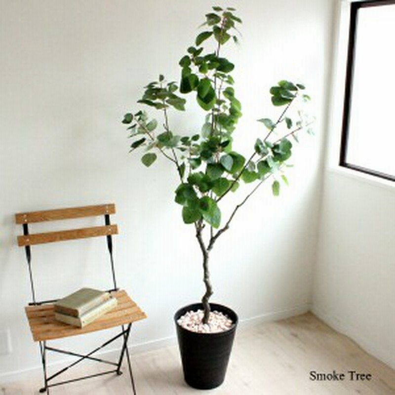 スモークツリー 160cm 人工観葉植物 造花 インテリア フェイクグリーン Ct触媒 重要 北海道 沖縄 送料別途 4000円 東北 送料別途 通販 Lineポイント最大1 0 Get Lineショッピング